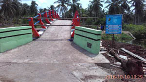 Progres Fisik Desa Baungrejo Jaya Tuntas 100 Persen